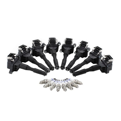 Set of 8 Ignition Coils & Spark Plugs for BMW V8 M62 (1996–2003)