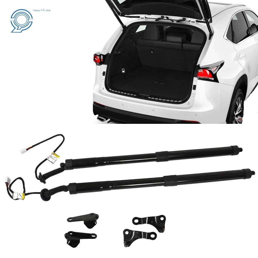 Pair of Tailgate Struts for Lexus NX300/NX300H/NX200/NX200T (2015-2020)
