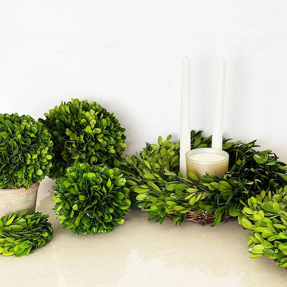 5-Inch Boxwood Topiary Ball for Wedding Decor (Preserved)