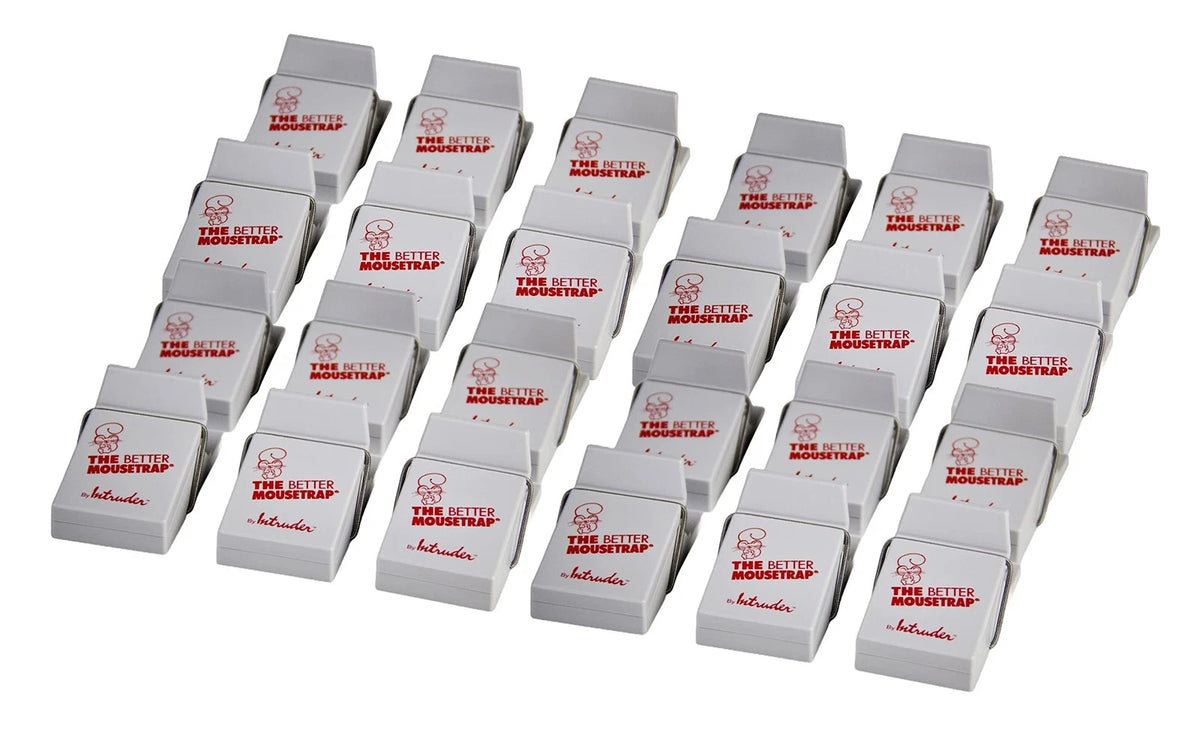 24 Pack Better Mouse Trap for