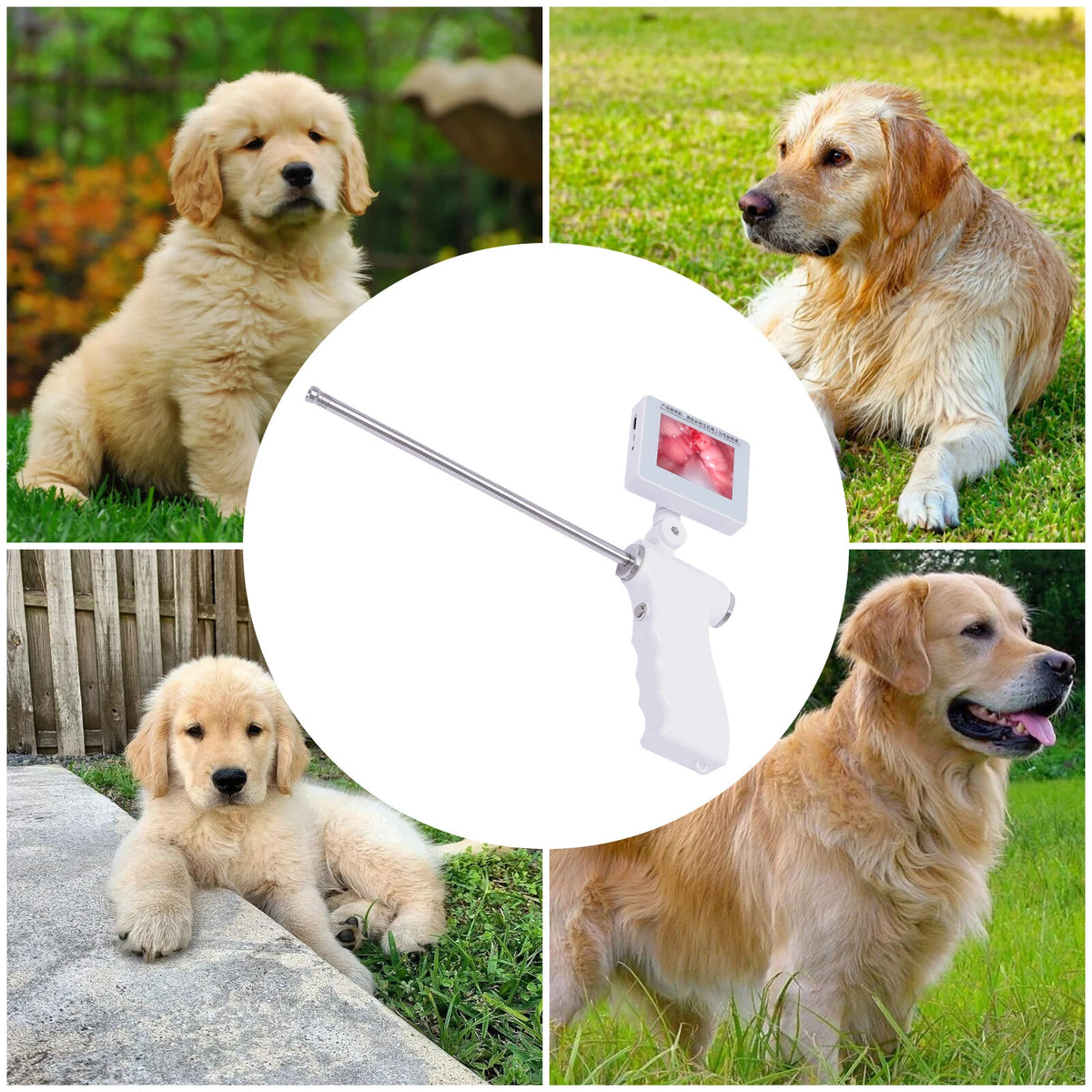 Visual Artificial Insemination AI Gun for Dog Breeding Kit