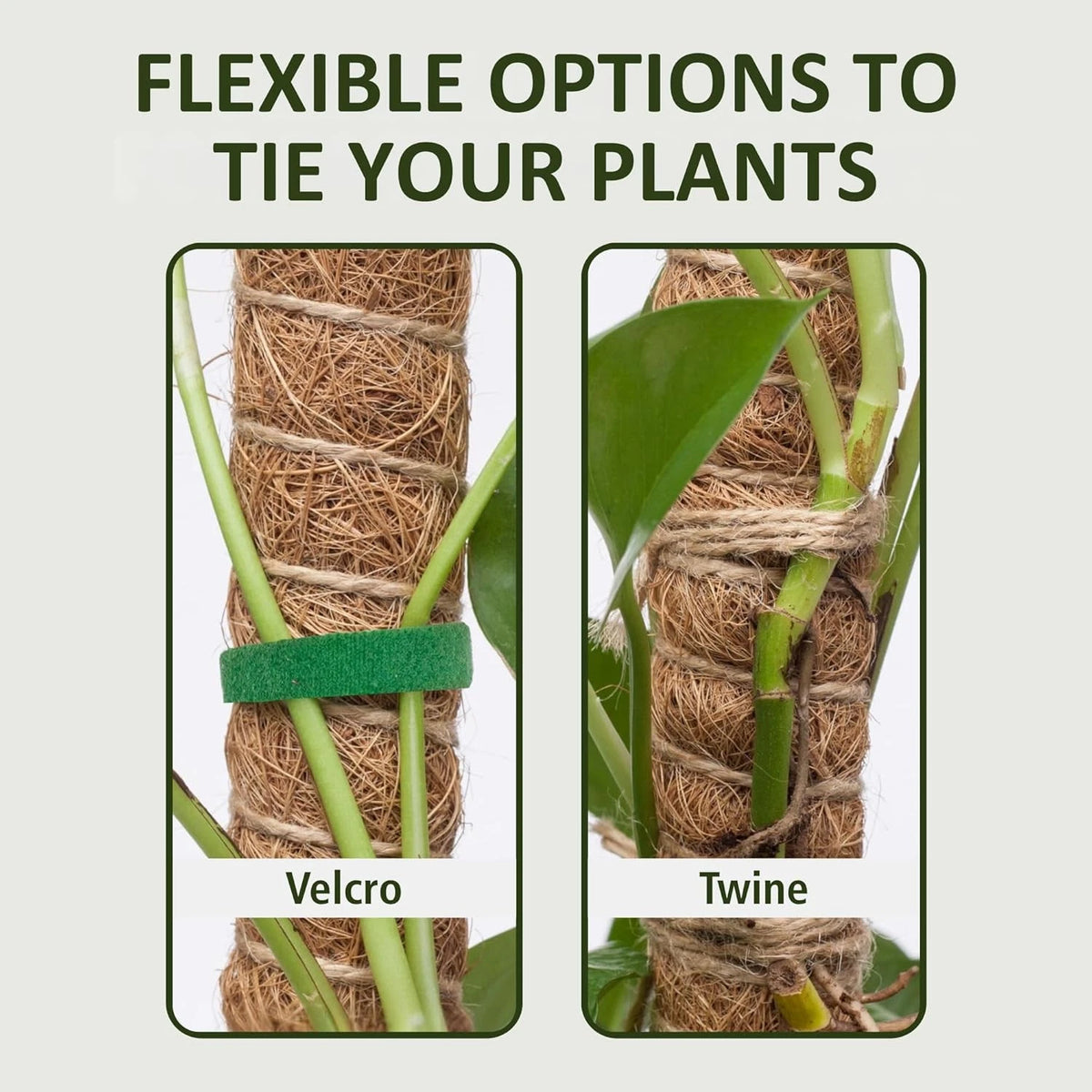 2 Pack 48 Inch Moss Pole for Monstera (Tall 2-Pack)
