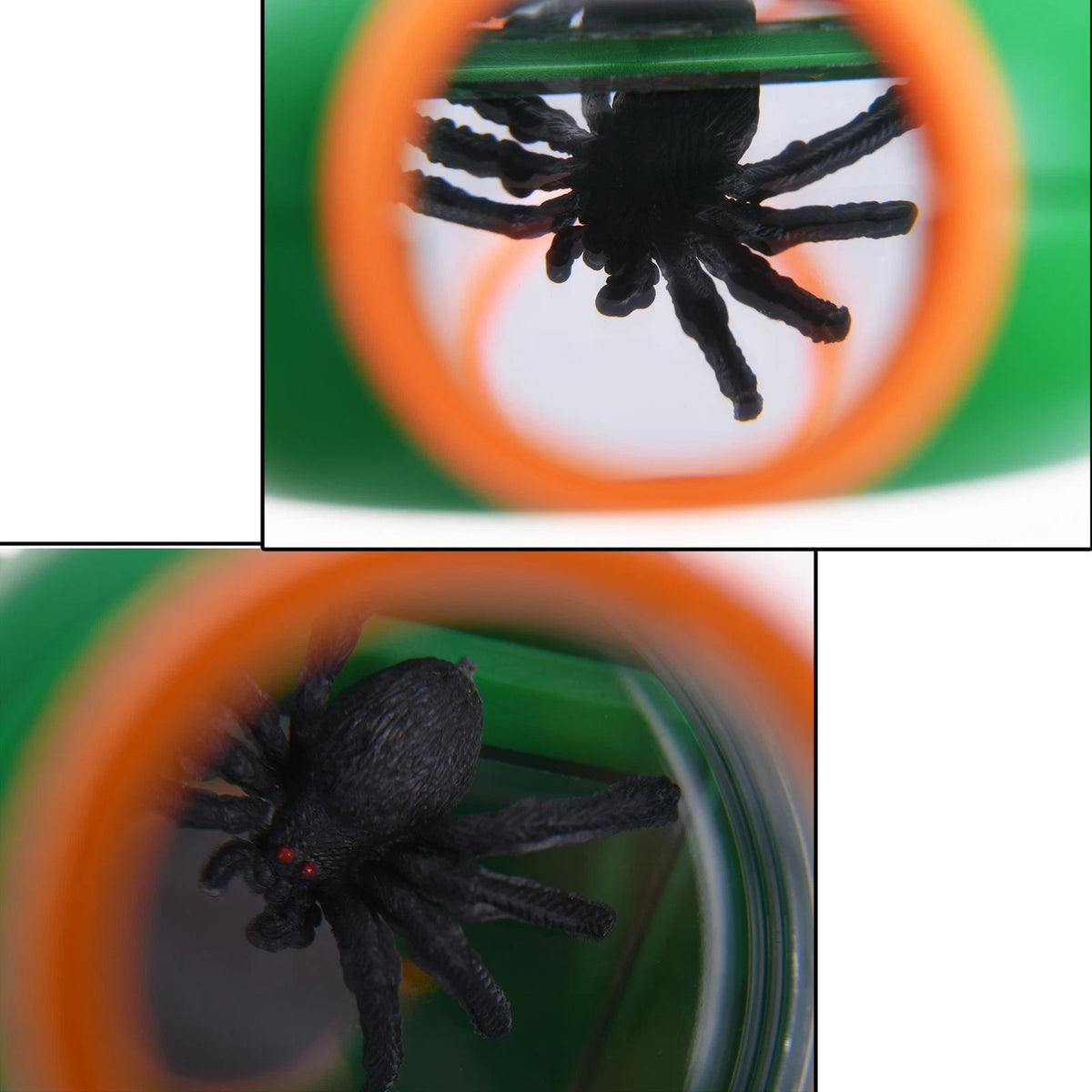 Insect Magnifier with 5X Magnification for Bug Viewing