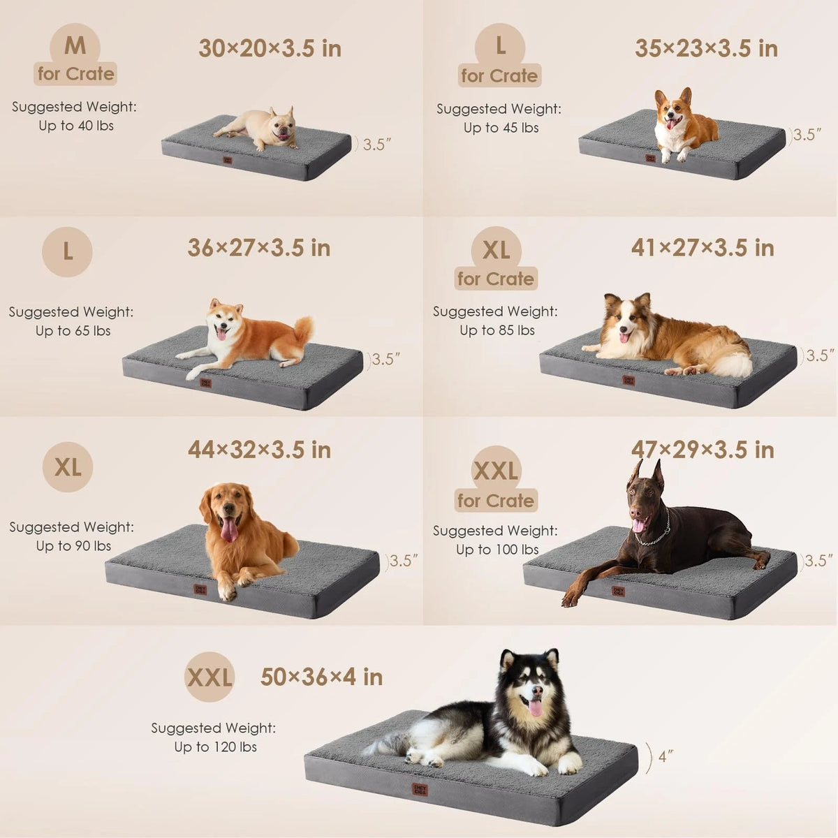 Orthopedic XL Dog Bed for Extra Large Dogs (41x27x3.5 Inches) - Grey