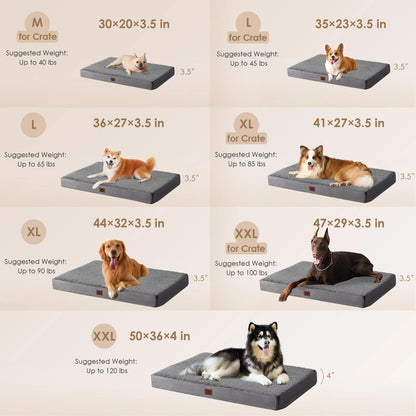 Orthopedic XL Dog Bed for Extra Large Dogs (41x27x3.5 Inches) - Grey