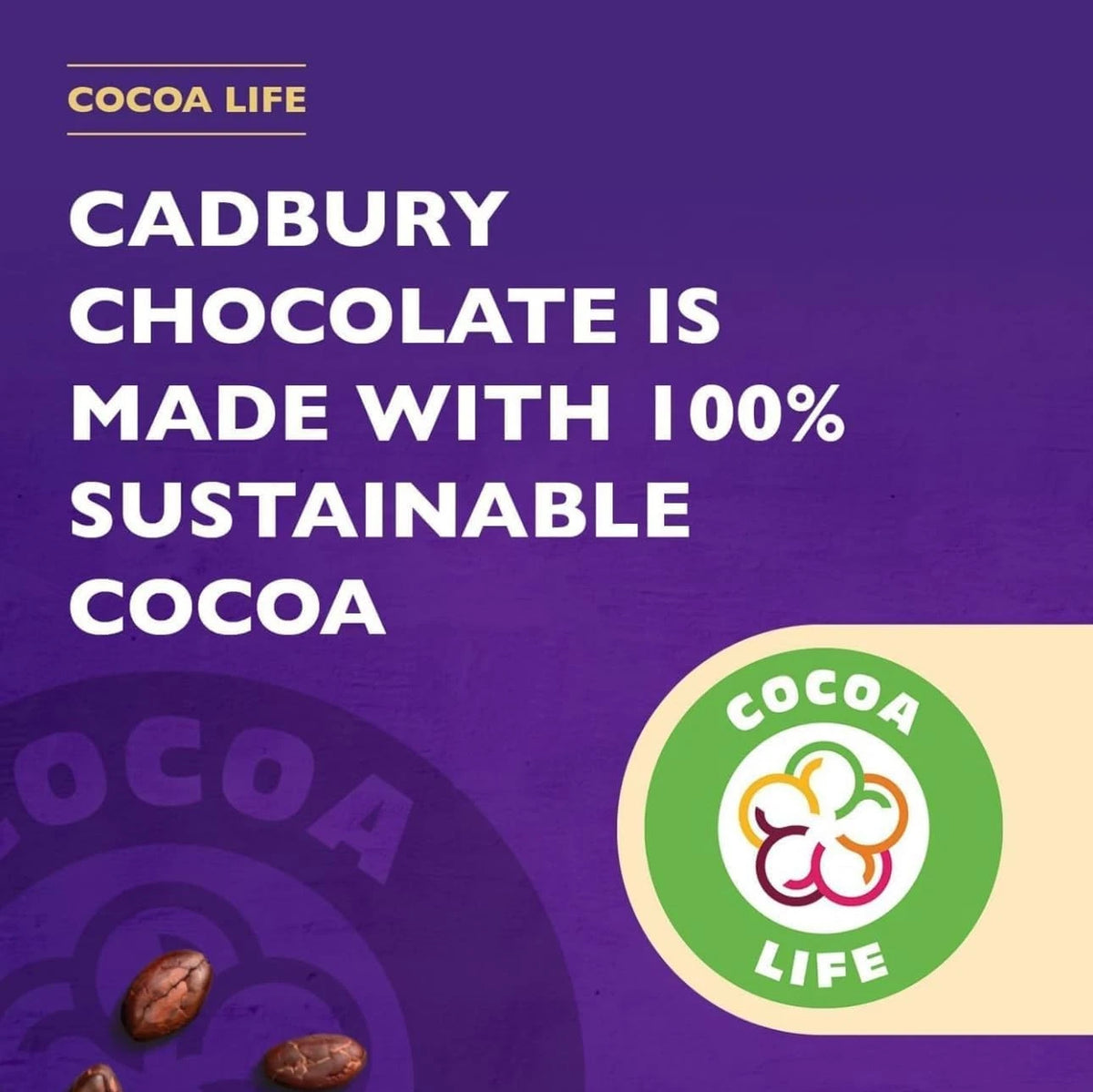 Pack of 1 Cadbury Drinking Chocolate 8.82 oz