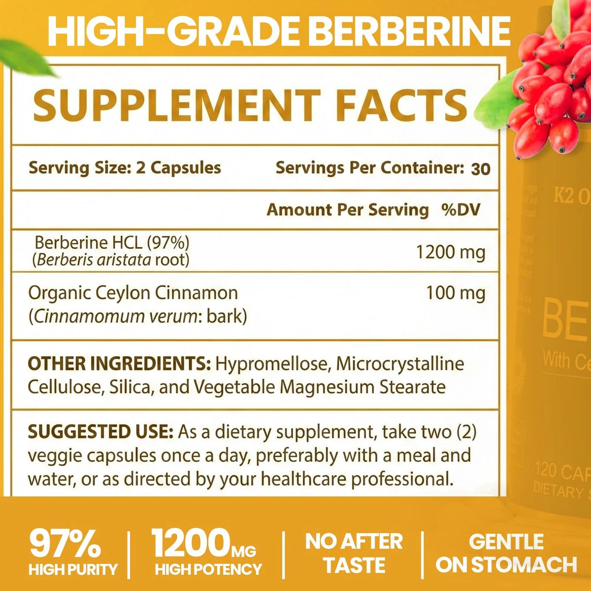 Berberine with Ceylon Cinnamon 1200mg (60 Capsules)