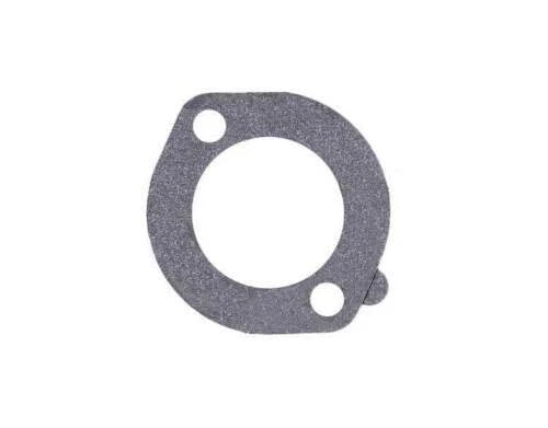 Air Cleaner Gasket for Briggs & Stratton (OEM)