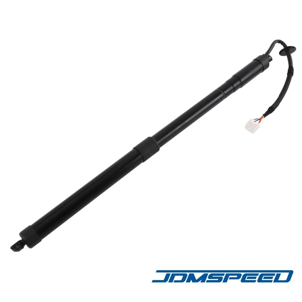 2Pcs Rear Tailgate Lift Support for Nissan Rogue (2014–2020) 90561-4BA2A 90561-4BA1A