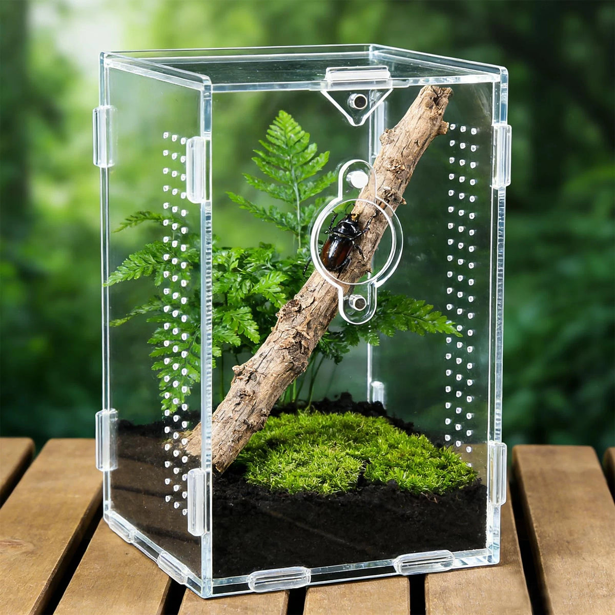 Acrylic Jumping Spider Enclosure for Small A2
