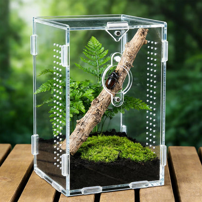 Acrylic Jumping Spider Enclosure for Small A2