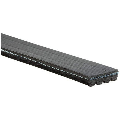 Micro-V Belt for Suzuki XL-7 (2002–2006) TLX-gatK040365-CL360A84