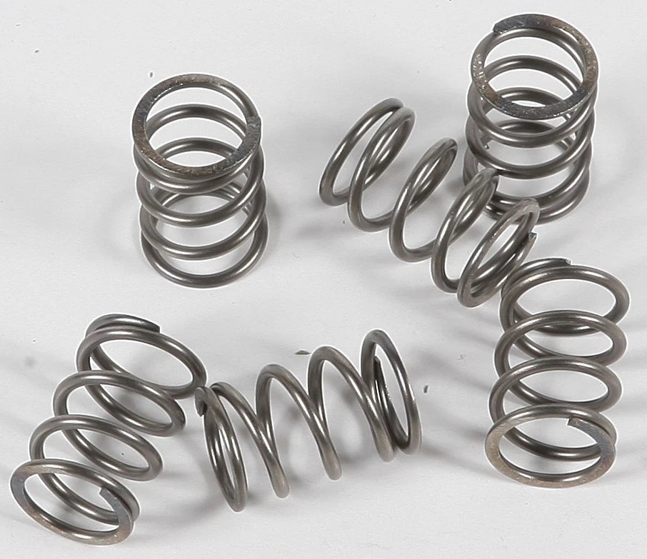 Clutch Spring Kit for EBC CSK197 (OEM Replacement)