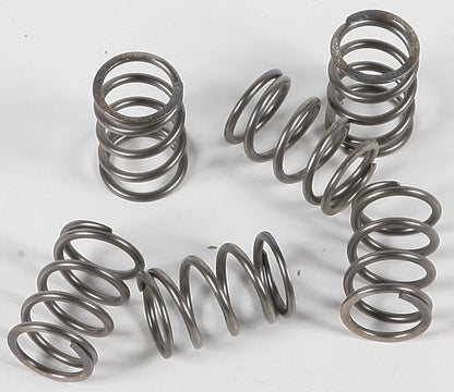 Clutch Spring Kit for EBC CSK197 (OEM Replacement)