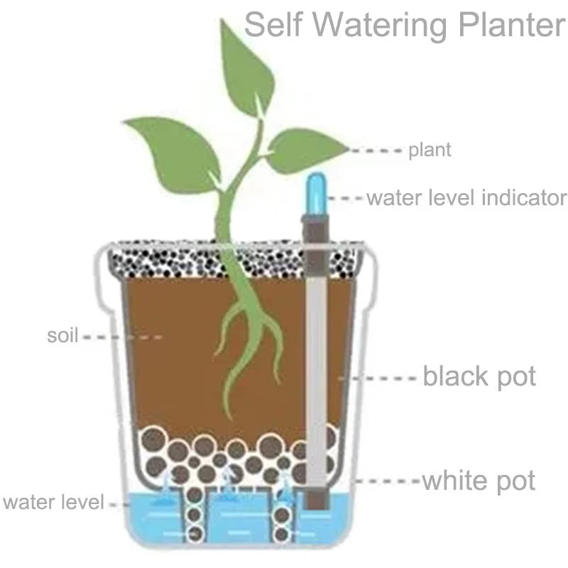 6 Pack Self Watering Planter for (2010–2023)