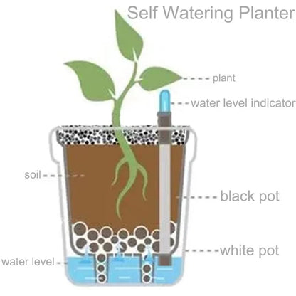 6 Pack Self Watering Planter for (2010–2023)
