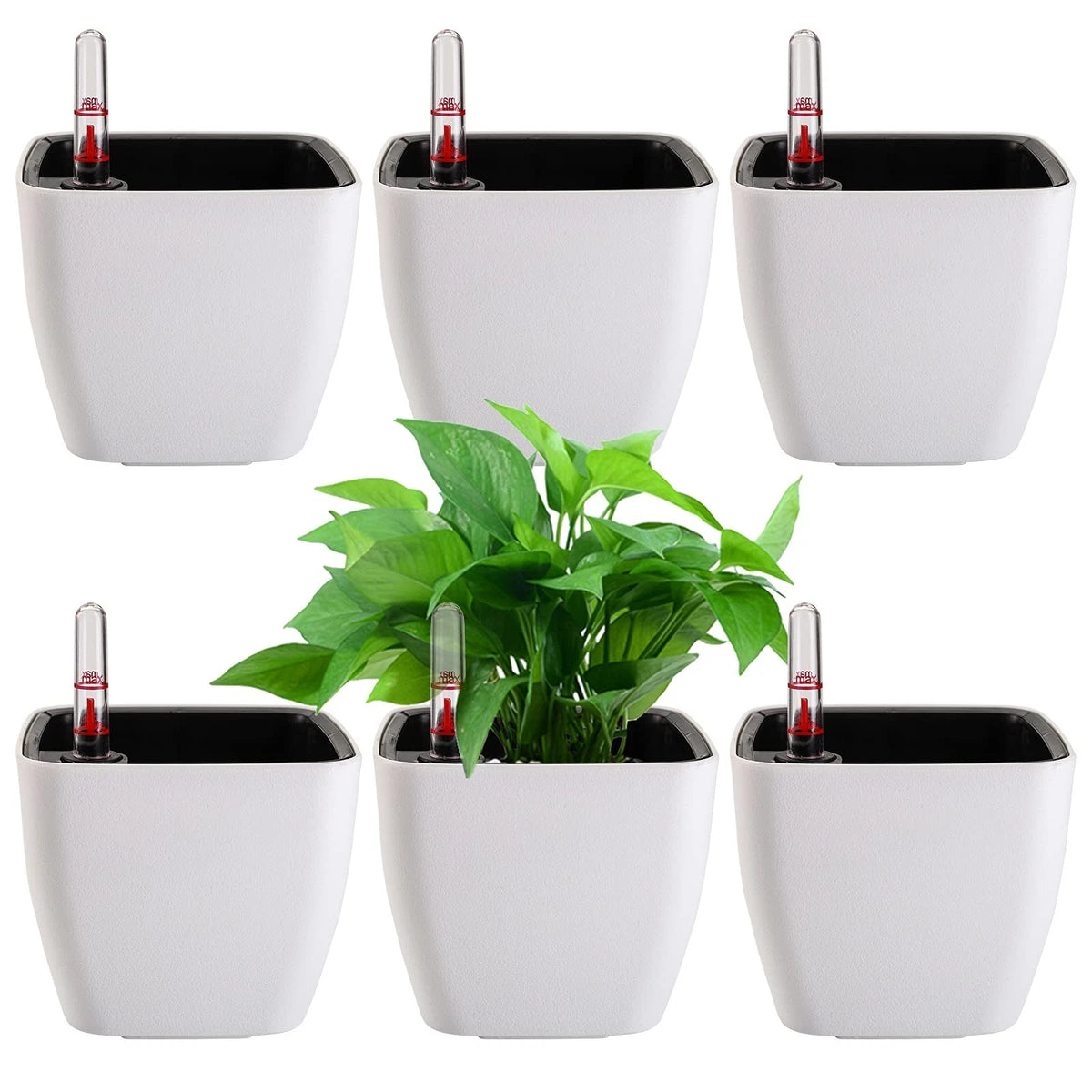 6 Pack Self Watering Planter for (2010–2023)