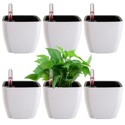 6 Pack Self Watering Planter for (2010–2023)