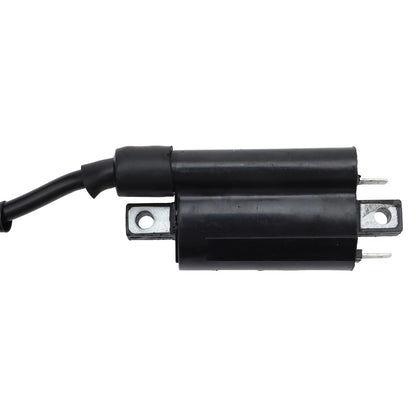 Ignition Coil for Yamaha Raptor YFM700 YFM700R (2006–2019)