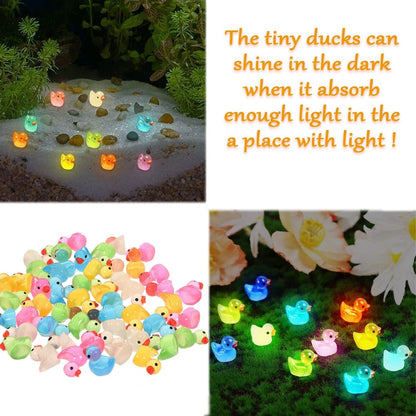60 Pcs Mini Resin Ducks for