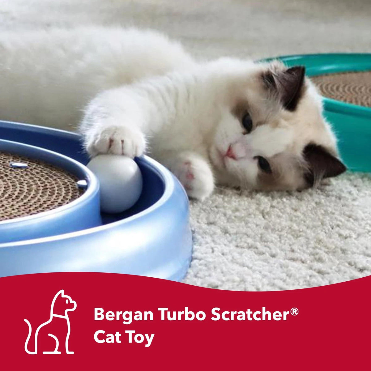Turbo Scratcher Cat Toy Pad with Ball Track and Catnip for Cats