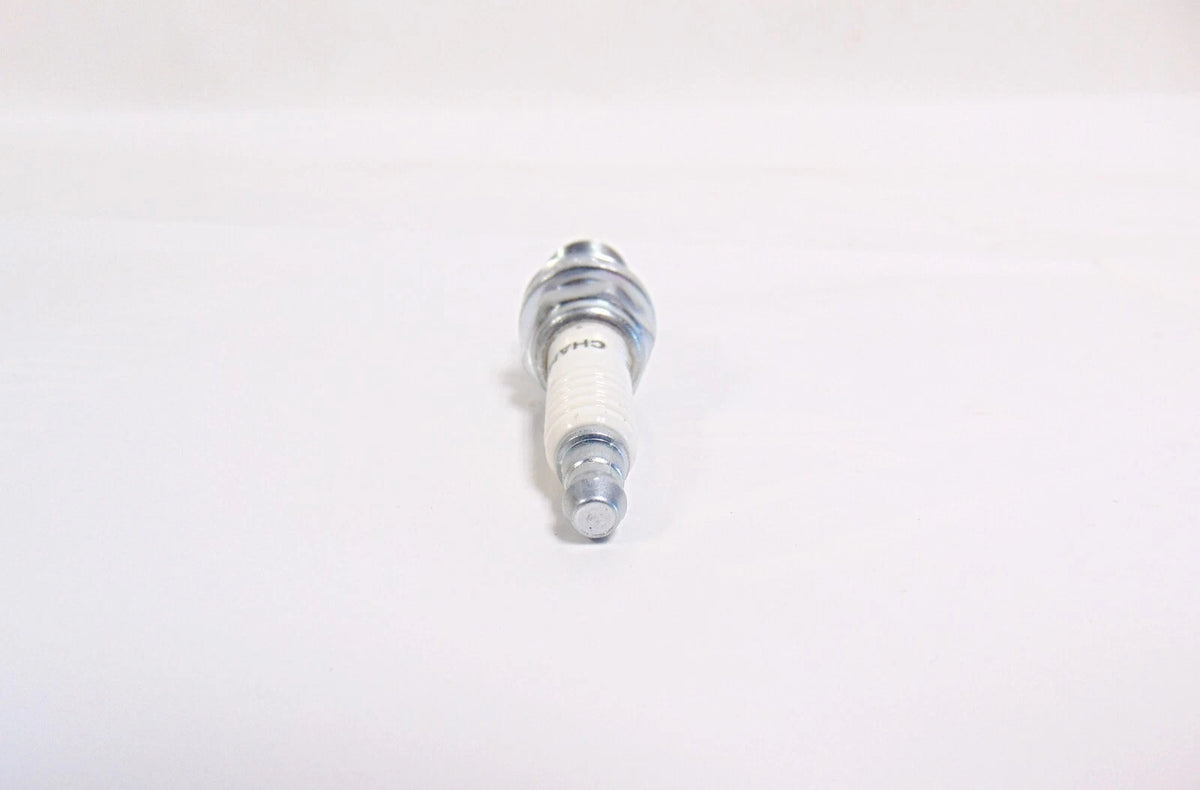 Spark Plug for Lawn Mower (OEM Briggs & Stratton)