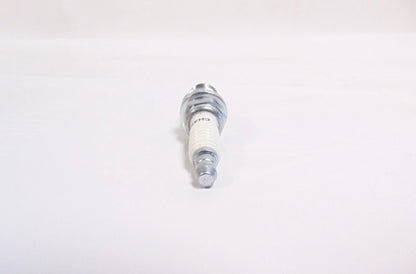 Spark Plug for Lawn Mower (OEM Briggs & Stratton)