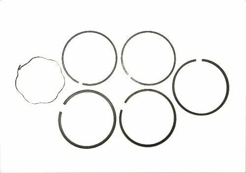 Ring Set for Briggs & Stratton Engine (BS-298745)