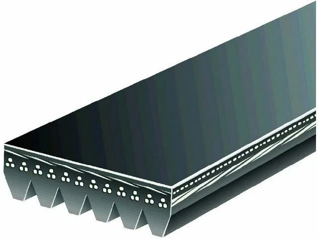 Multi Rib Belt for Jaguar S Type 4.0L V8 (2000–2002) C921MX