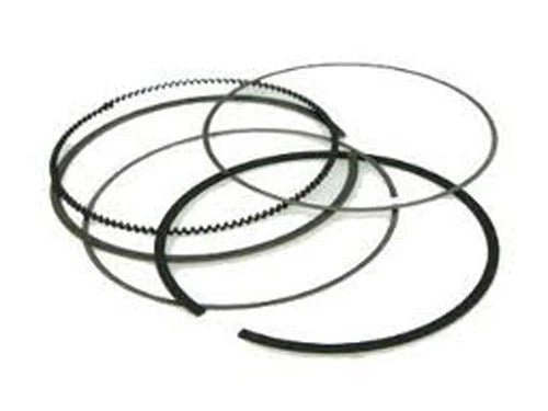 Piston Ring Kit for (NA-50019-4R)
