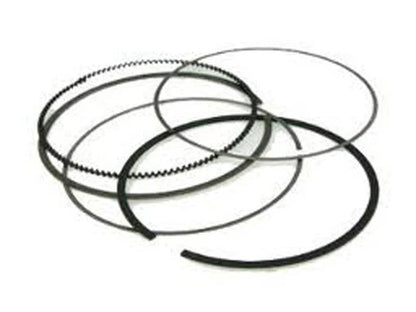 Piston Ring Kit for (NA-50019-4R)