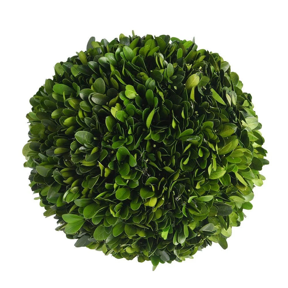 5-Inch Boxwood Topiary Ball for Wedding Decor (Preserved)