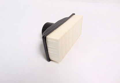 Air Filter Element for Kawasaki Lawn Mower (OEM)
