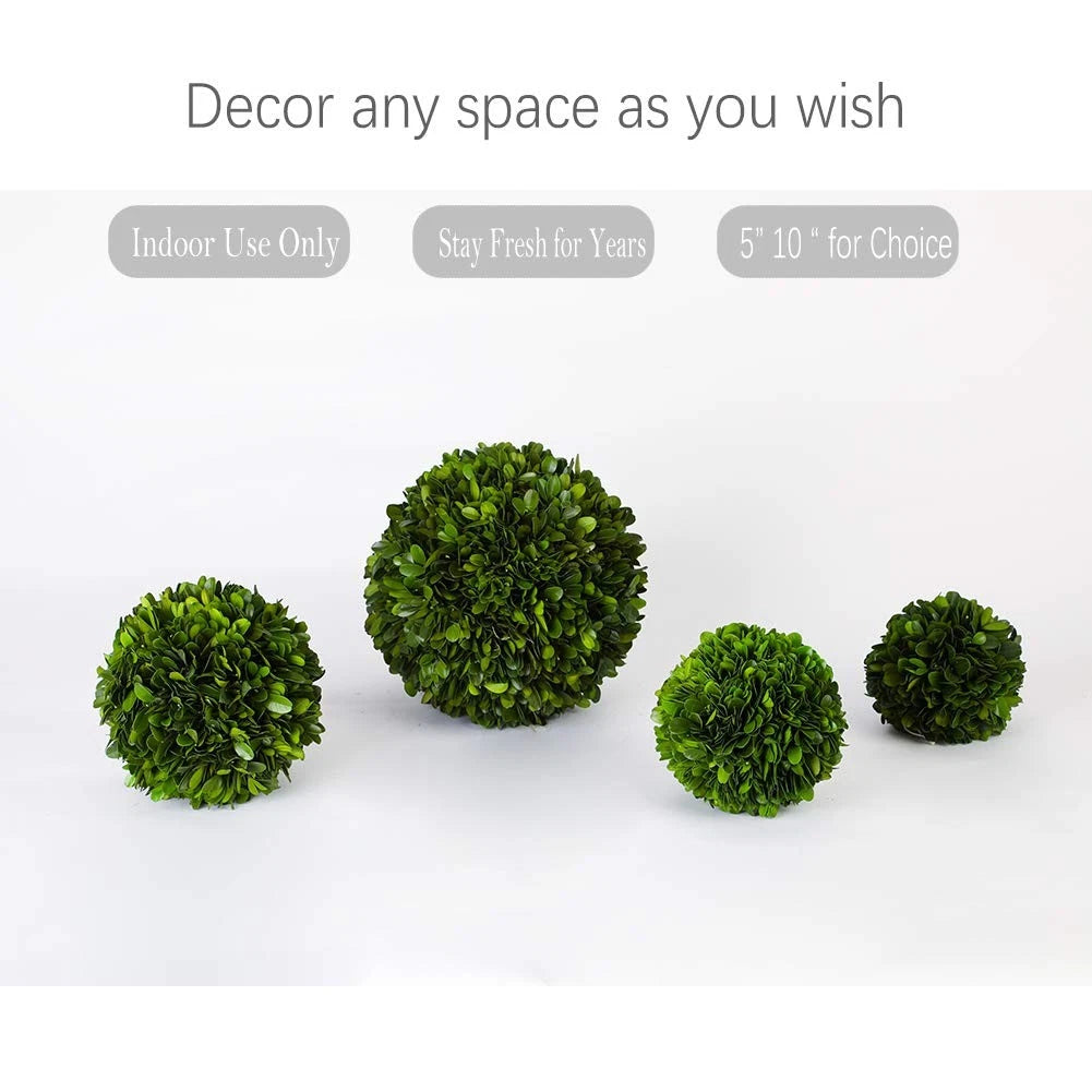 5-Inch Boxwood Topiary Ball for Wedding Decor (Preserved)