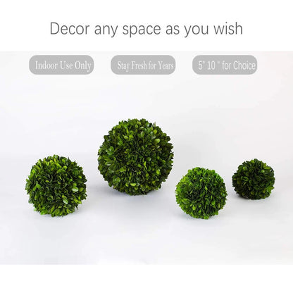 5-Inch Boxwood Topiary Ball for Wedding Decor (Preserved)