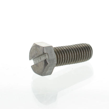 Gearcase Assembly Screw for Johnson Evinrude OMC (OEM 0304024)