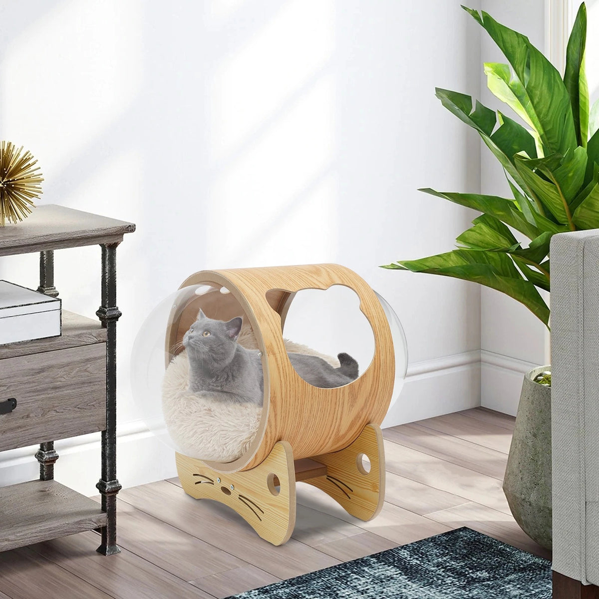 Modern Cat Bed Capsule for Indoor Use