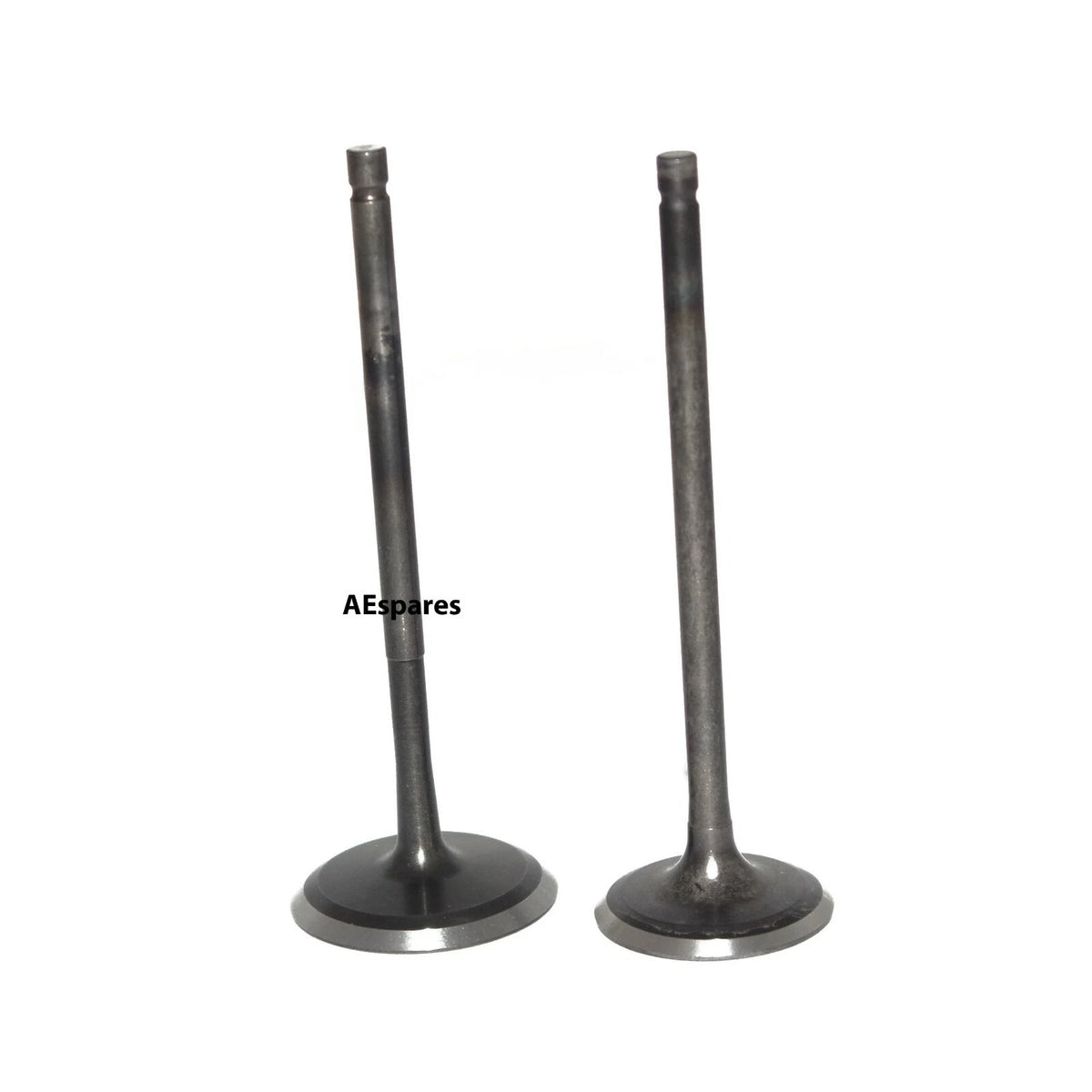 Engine Valves for Bajaj Pulsar 220 DTS-Fi (2007–2009)