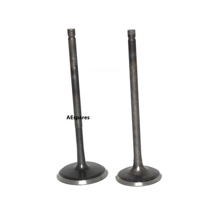 Engine Valves for Bajaj Pulsar 220 DTS-Fi (2007–2009)