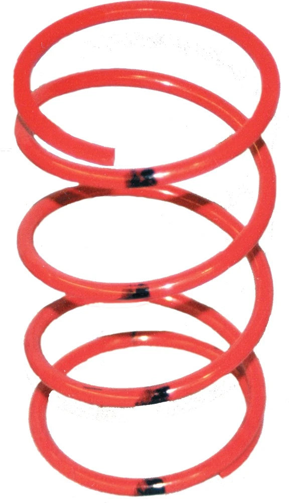 Tied Secondary Clutch Spring for (210184)