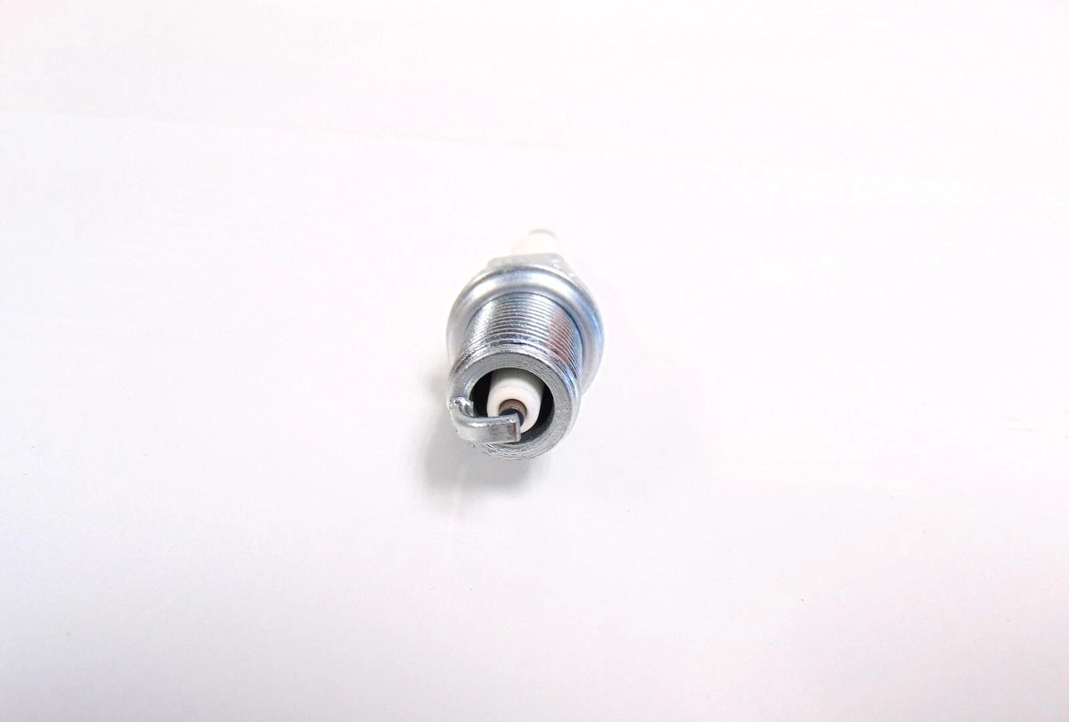 Spark Plug for Lawn Mower (OEM Briggs & Stratton)