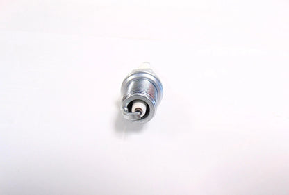 Spark Plug for Lawn Mower (OEM Briggs & Stratton)