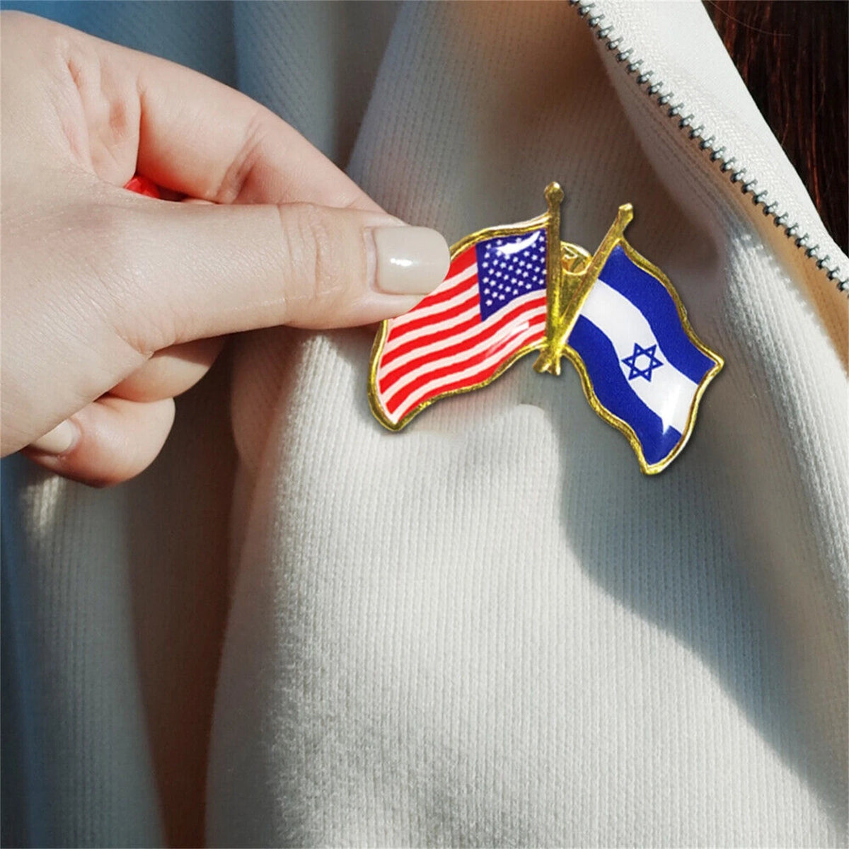 Pack of 10 American Israel Friendship Flag Bike Hat Cap Lapel Pins