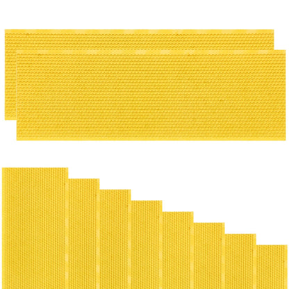 10PCS Plastic Bee Frame Medium Foundation Sheets, Natural Beeswax