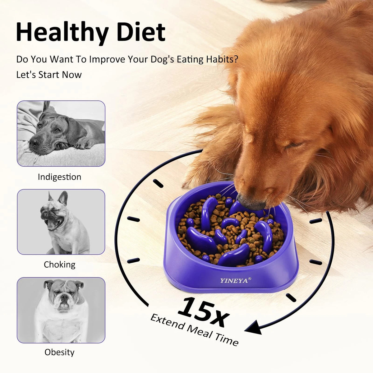 2X Slow Feeder Dog Bowls for Medium Pets - Purple & Black