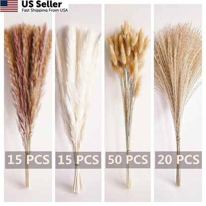 100 PCS Pampas Grass for Home Decor (17")