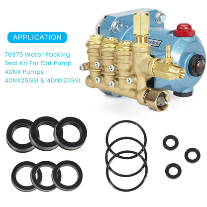 Rubber Seal Kit for CAT Pump 4DNX Pumps (12pcs)