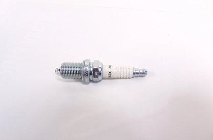 Spark Plug for Lawn Mower (OEM Briggs & Stratton)