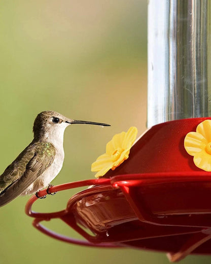 Set of 16 Red Hummingbird Feeder Replacement Flowers
