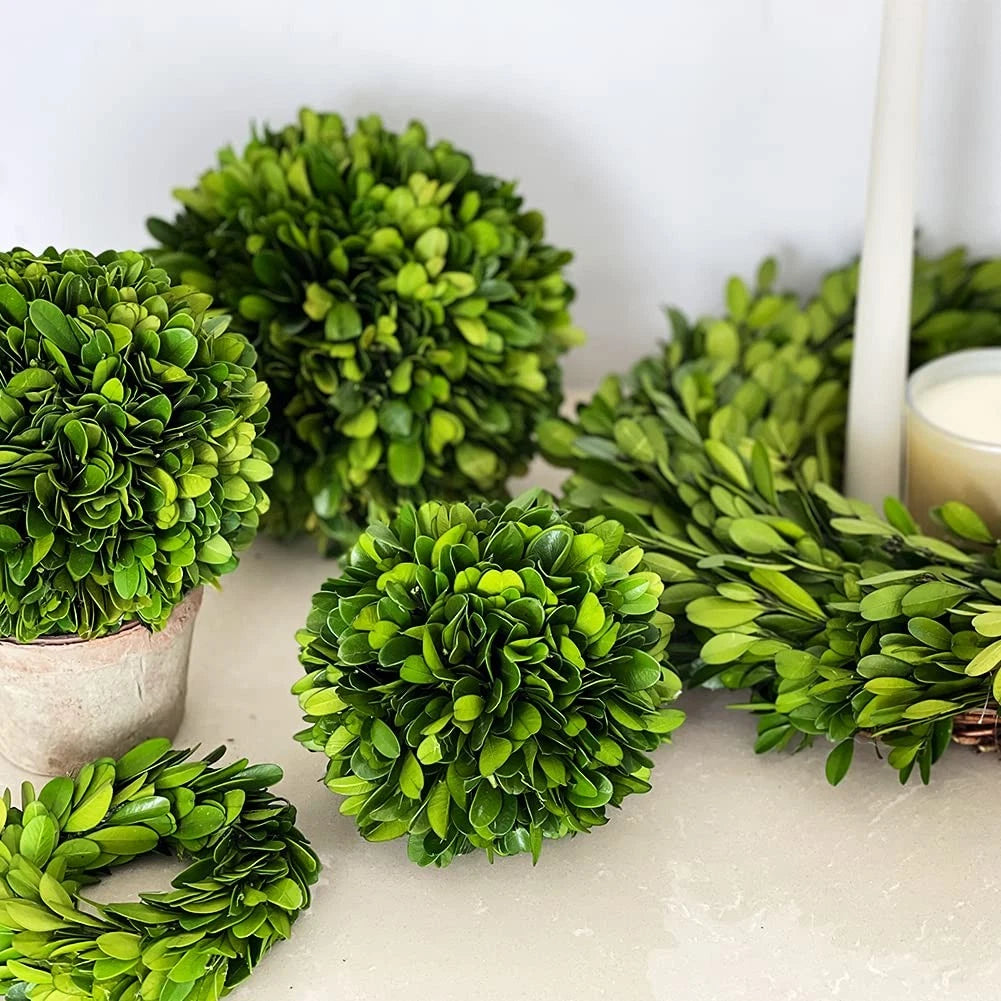 5-Inch Boxwood Topiary Ball for Wedding Decor (Preserved)
